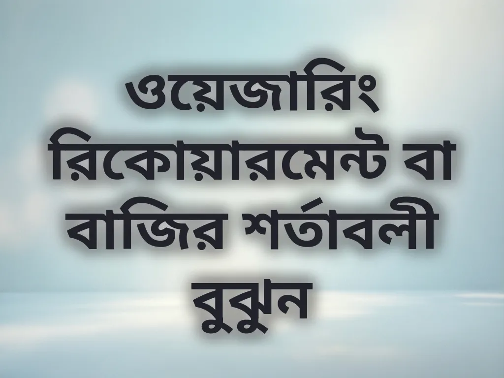 ওয়েজারিং রিকোয়ারমেন্ট গাইড